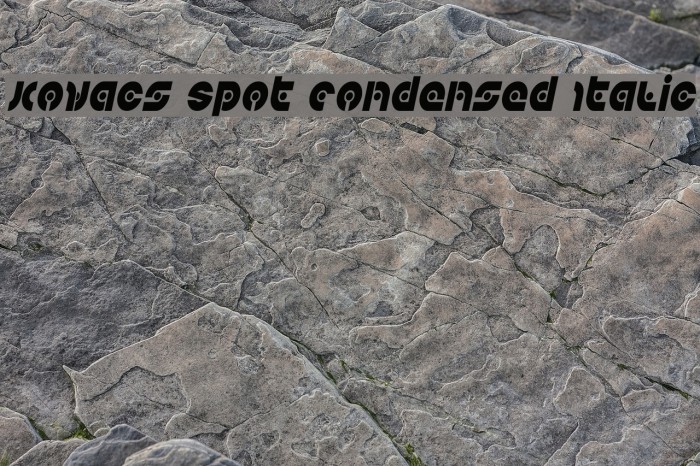Kovacs Spot Condensed Italic Example 1