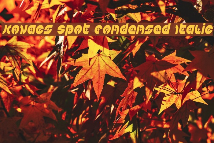 Kovacs Spot Condensed Italic Example 2