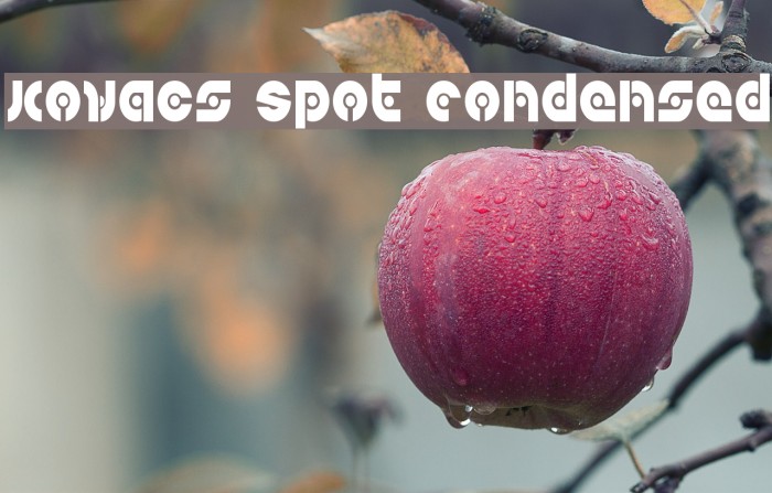 Kovacs Spot Condensed Font examples