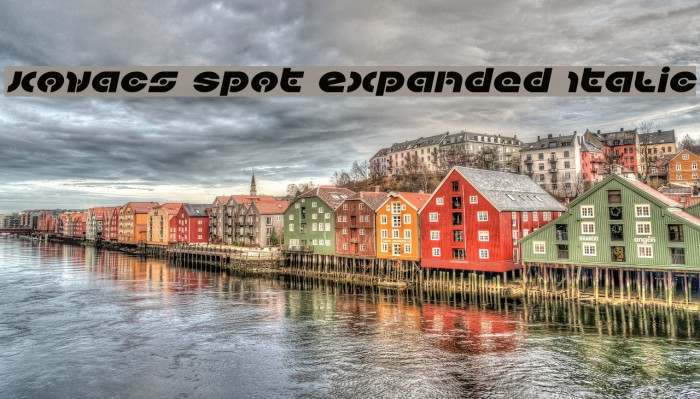 Kovacs Spot Expanded Italic Example 2