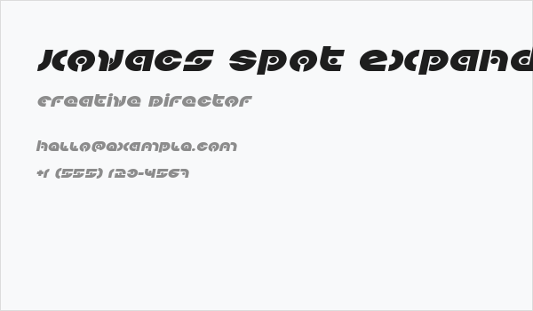 Kovacs Spot Expanded Italic Business Card