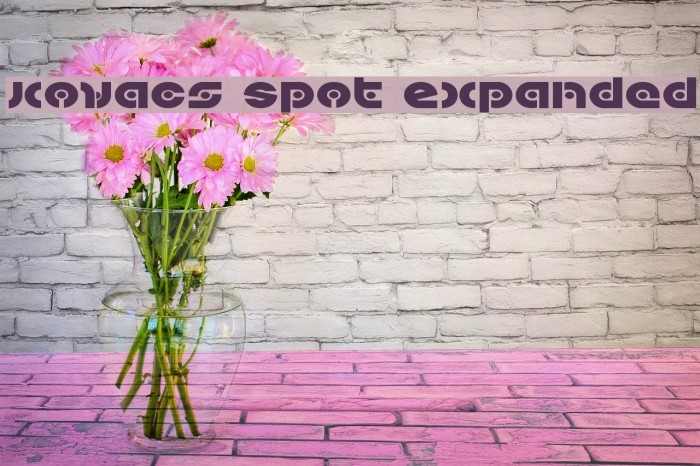 Kovacs Spot Expanded Font examples