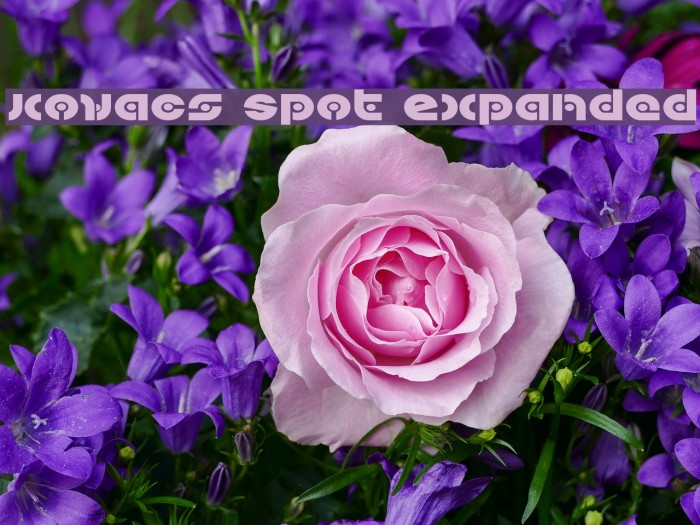 Kovacs Spot Expanded Font examples