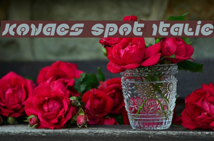 Kovacs Spot Italic Font examples