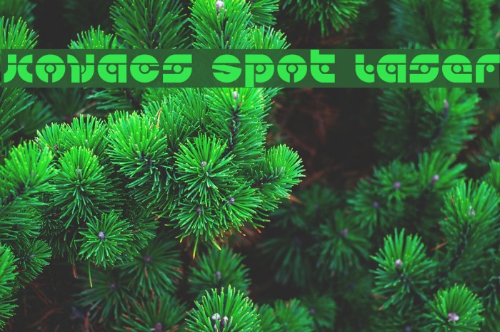 Kovacs Spot Laser Example 3