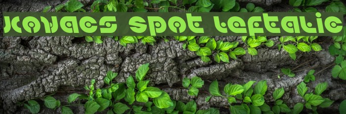 Kovacs Spot Leftalic Example 1