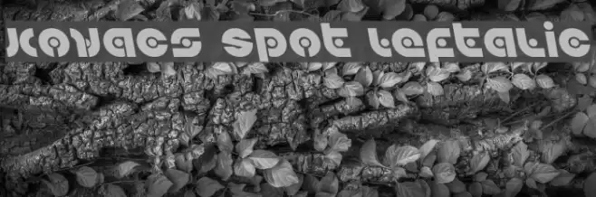 Kovacs Spot Leftalic Font examples