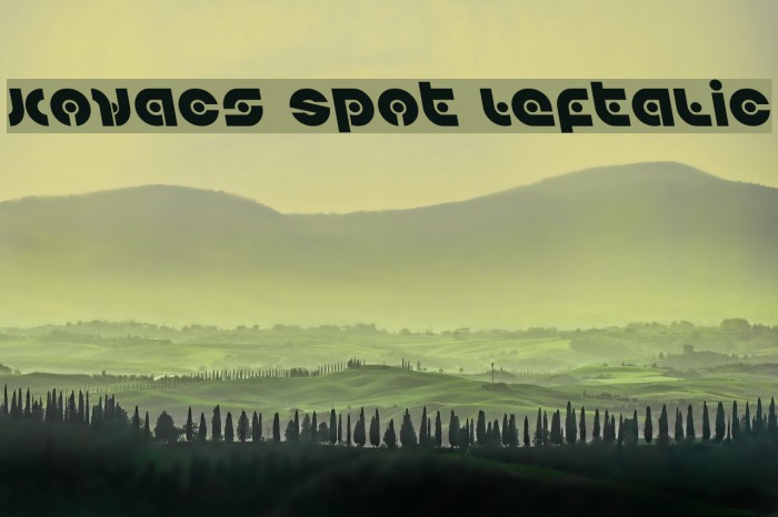 Kovacs Spot Leftalic Example 2