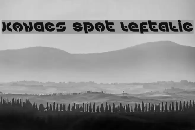 Kovacs Spot Leftalic Font examples