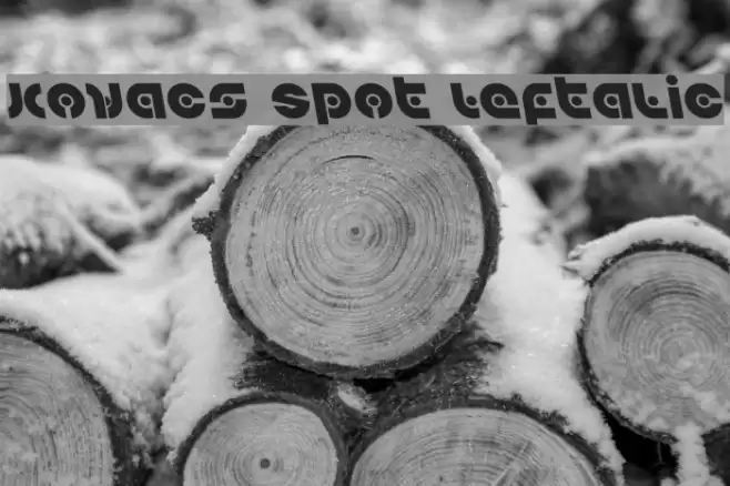 Kovacs Spot Leftalic Font examples