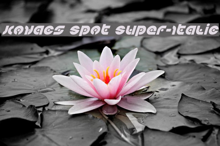 Kovacs Spot Super-Italic Font examples