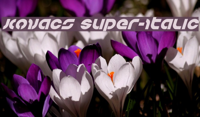 Kovacs Super-Italic Example 1