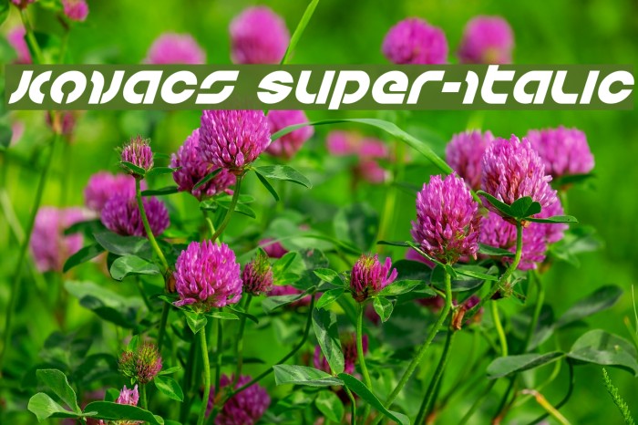 Kovacs Super-Italic Example 3