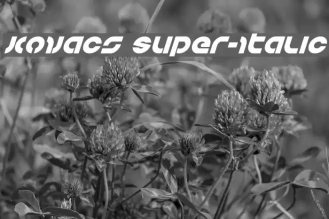 Kovacs Super-Italic Font examples