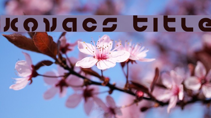 Kovacs Title Font examples