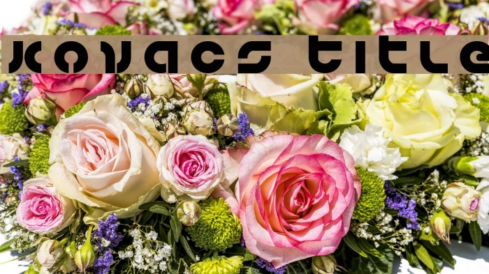 Kovacs Title Font examples