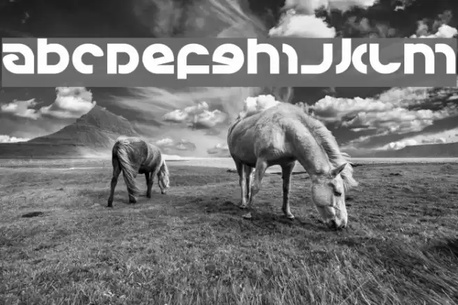 Kovacs Font examples