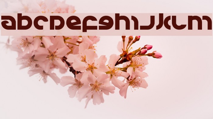 Kovacs Font examples