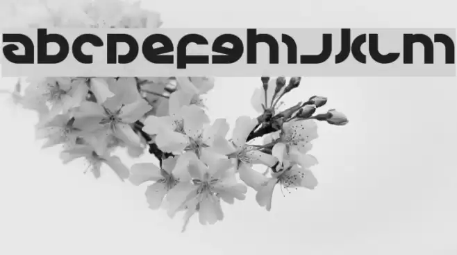 Kovacs Font examples