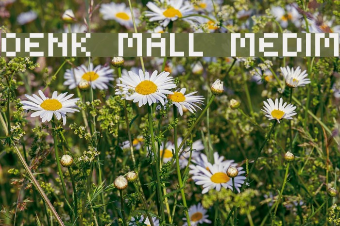 Kovensky small medium Font examples