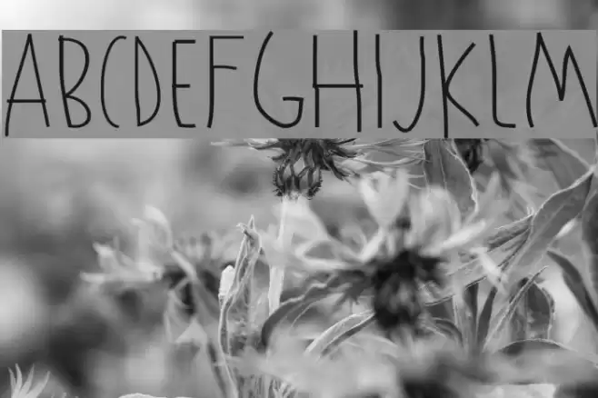 Kowalski Font examples