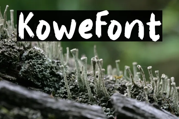 Kowe Example 1
