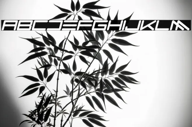 Kozmik Vibez Italic Example 3