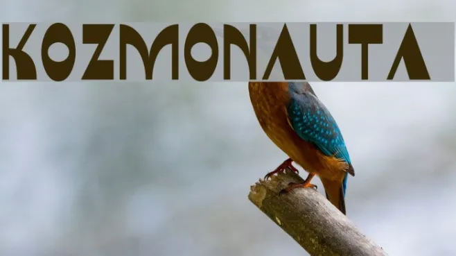 Kozmonauta 2 Example 2