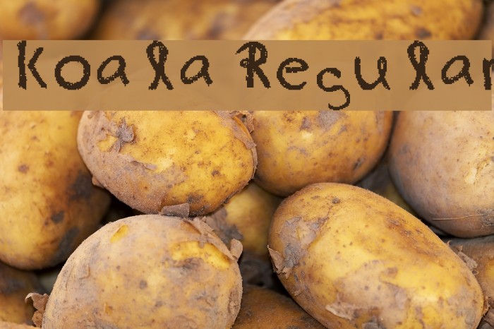 koala Regular Example 1