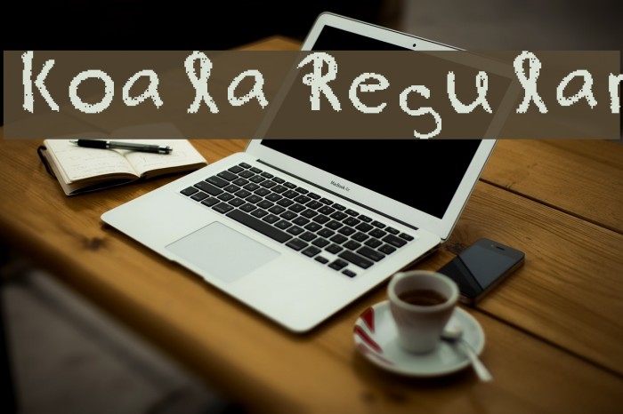 koala Regular Example 2