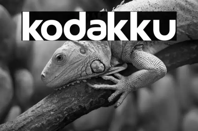 kodakku Font examples