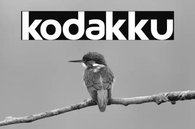 kodakku Font examples