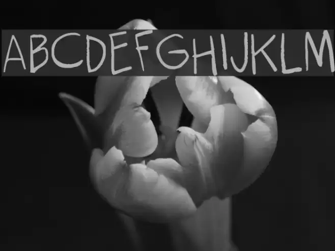 kokekoko light Font examples