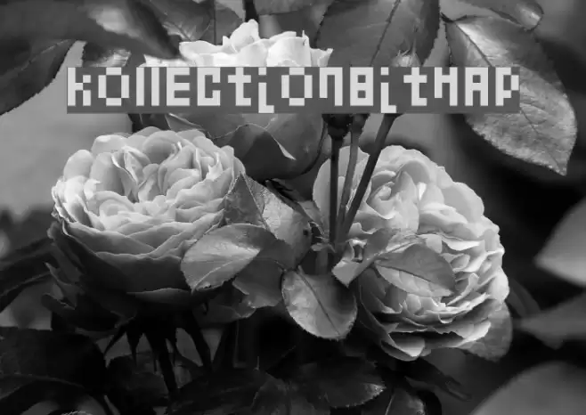kollectionbitmap Font examples