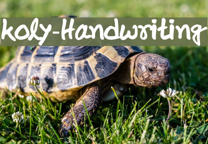 koly-Handwriting Font examples