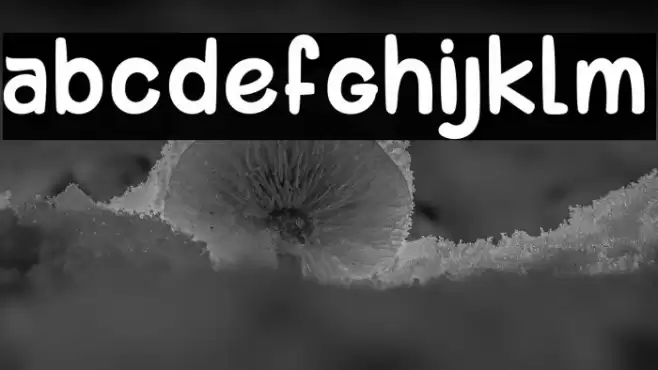 komou 2_PersonalUseOnly Font examples