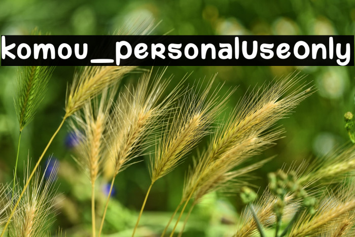 komou_PersonalUseOnly Example 2