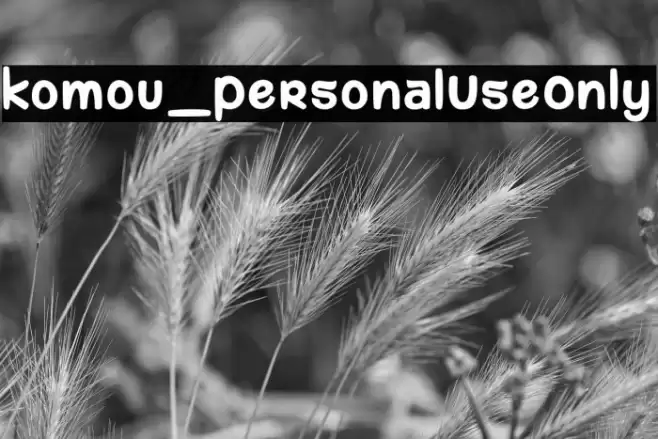 komou_PersonalUseOnly Font examples