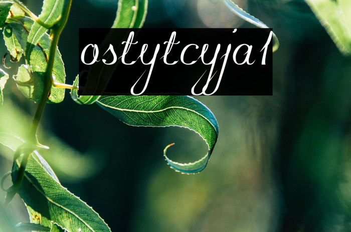 konstytucyja1 Example 3