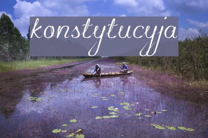 konstytucyja Font examples