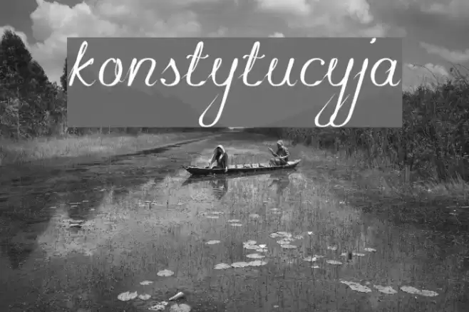 konstytucyja Font examples