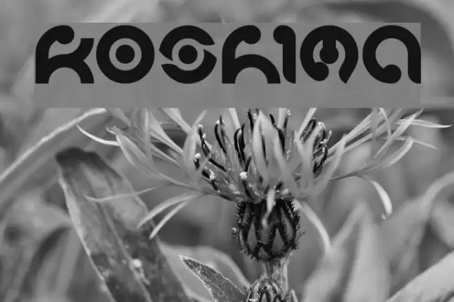 koshima Font examples