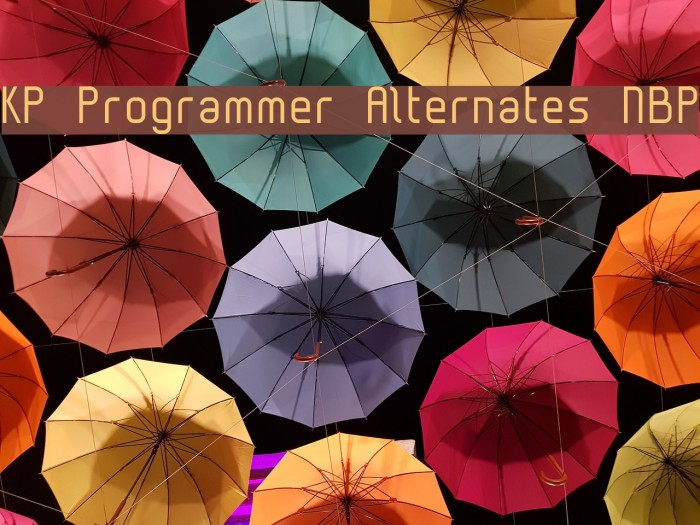 KP Programmer Alternates NBP Font examples