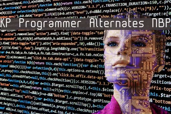 KP Programmer Alternates NBP Font examples