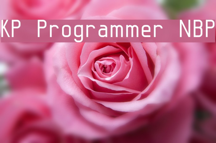 KP Programmer NBP Font examples
