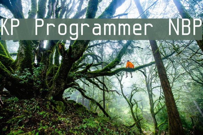 KP Programmer NBP Font examples