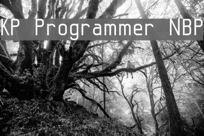 KP Programmer NBP Font examples