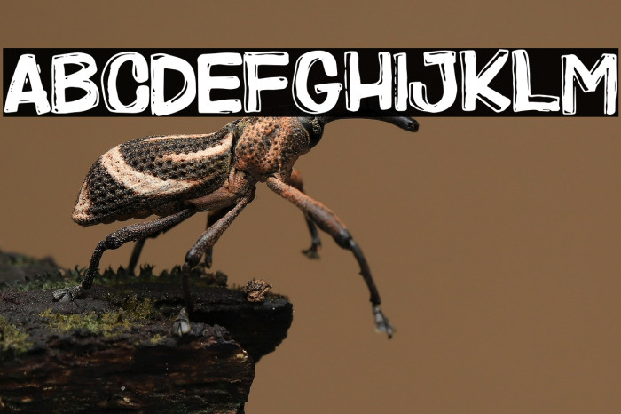 KPK Project Example 2