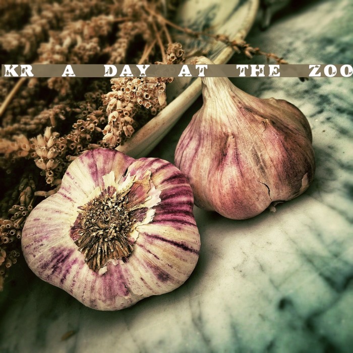 KR A Day At The Zoo Font examples
