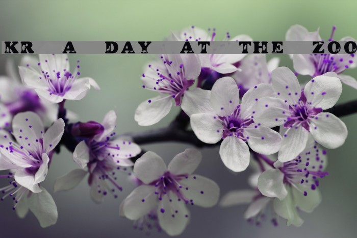 KR A Day At The Zoo Font examples